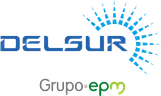 DelSur